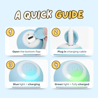 Smart Ball Cat Toy