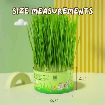 Fresh Canned Grass