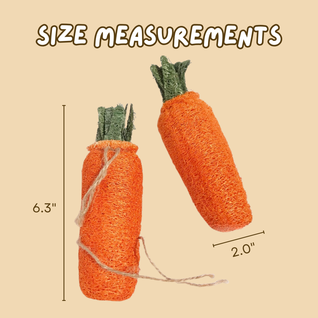 Carrot Loofah