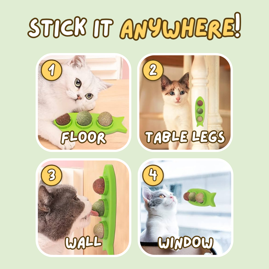 Stick-on Catnip Station