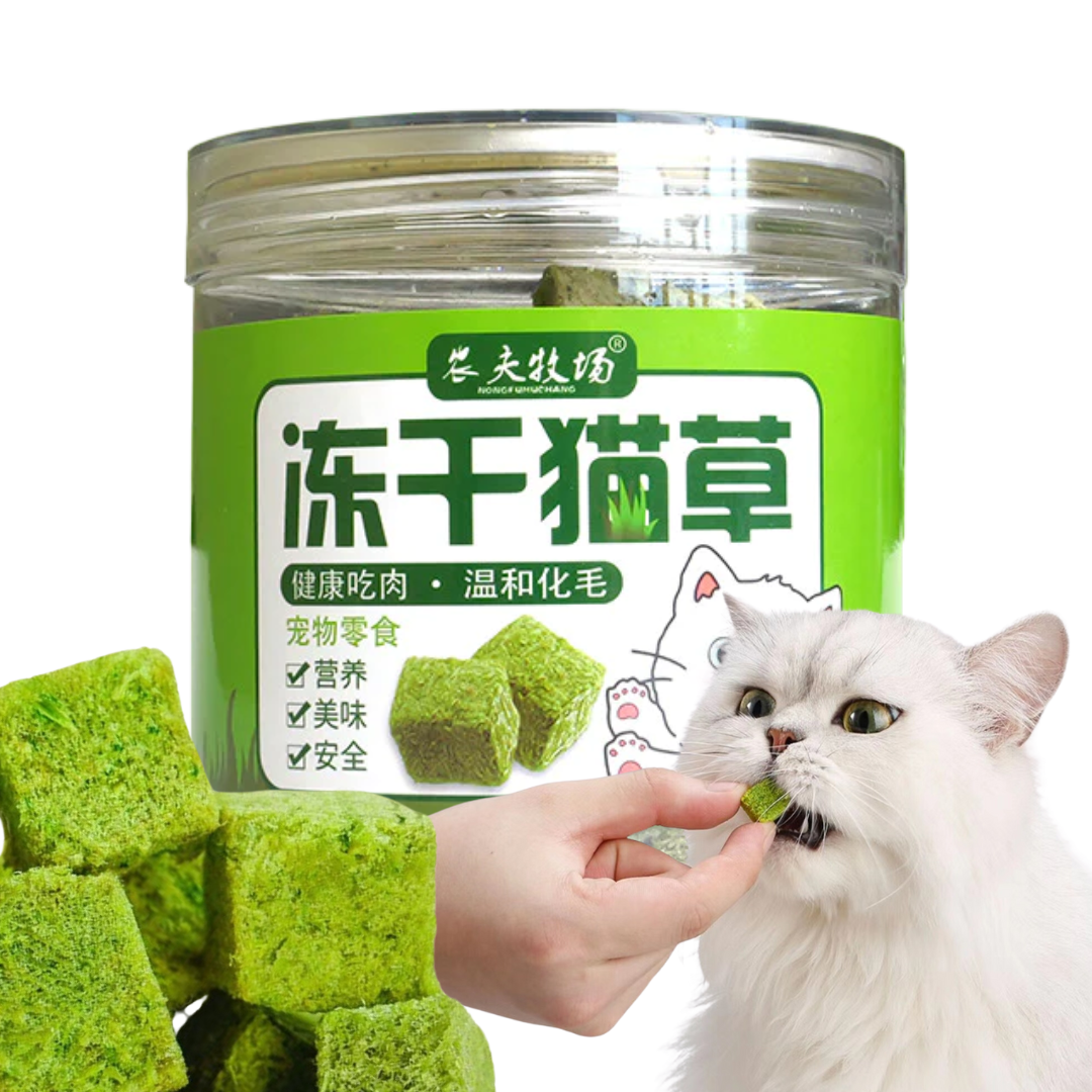 Cat Grass Treat