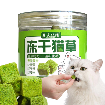 Cat Grass Treat
