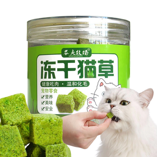 Cat Grass Treat