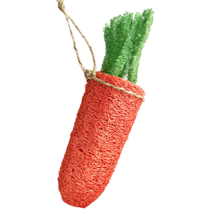 Carrot Loofah