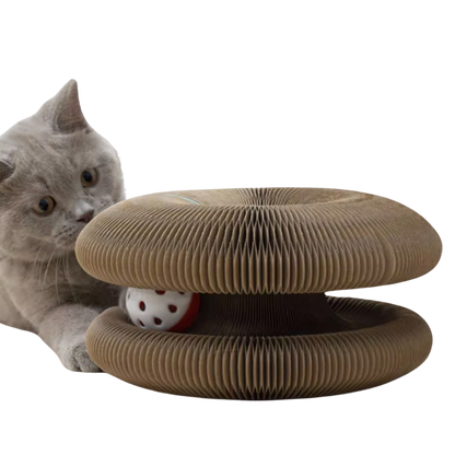 Cat Ball Toy
