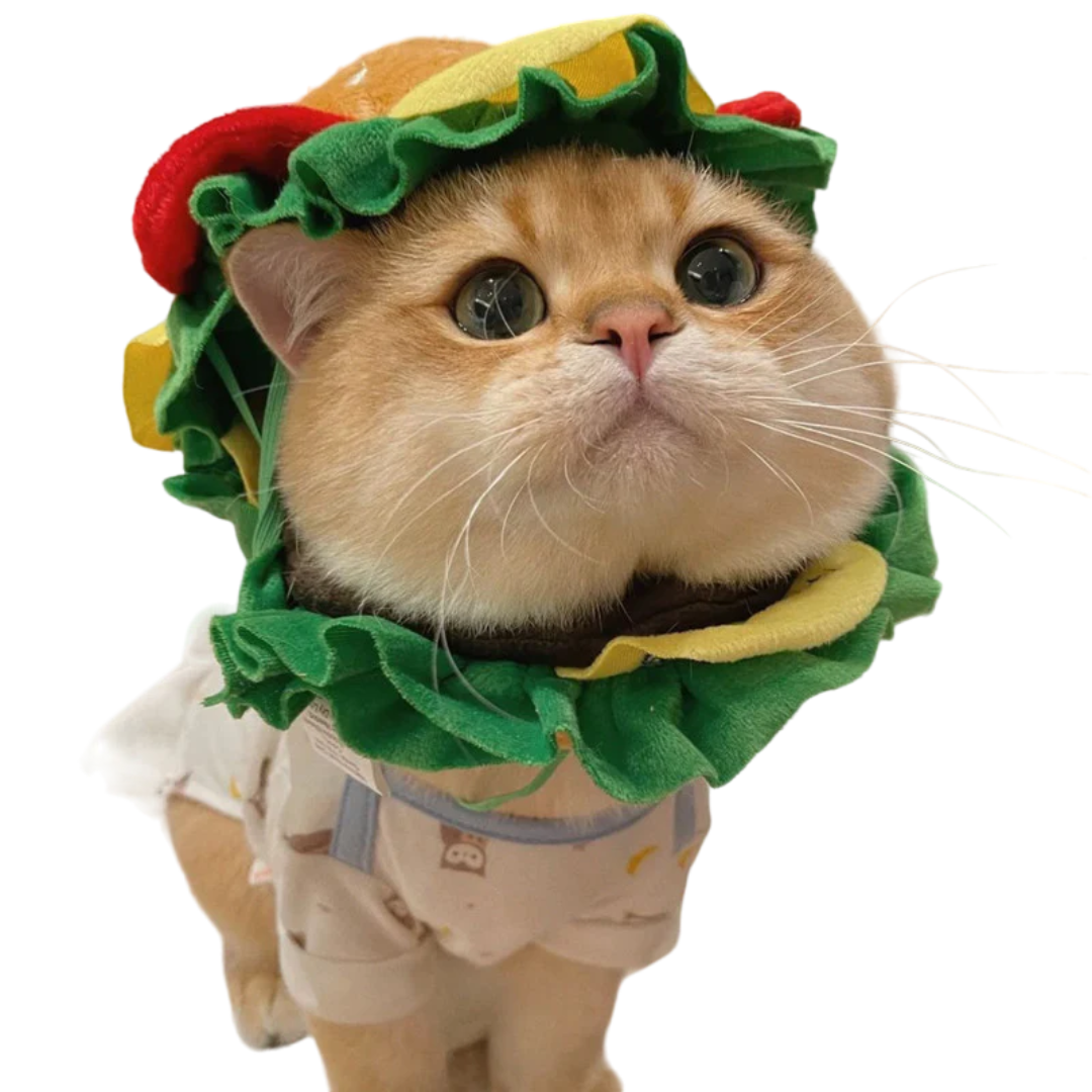 Cat Burger Cone
