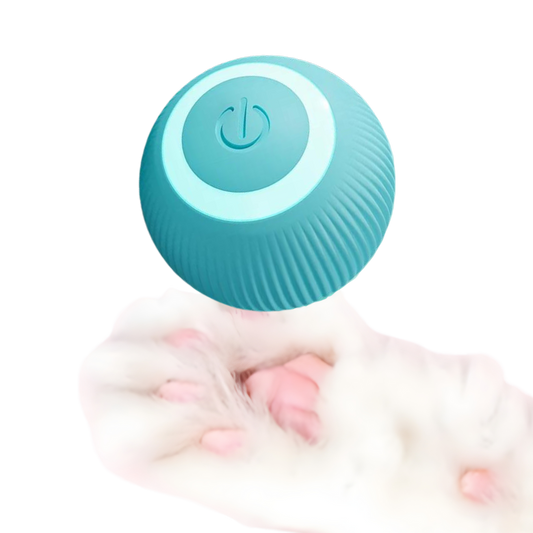 Smart Ball Cat Toy
