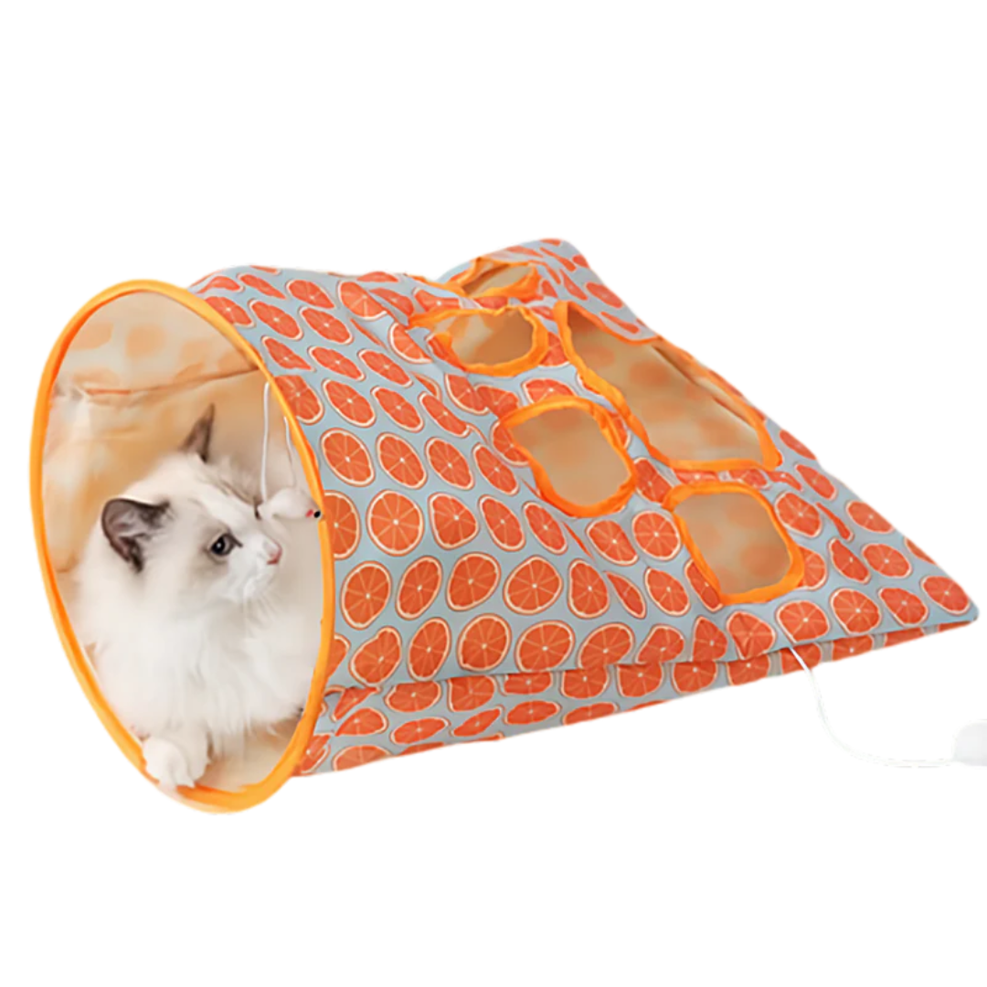Tunnel Bag Toy