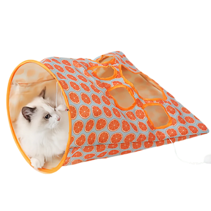 Tunnel Bag Toy