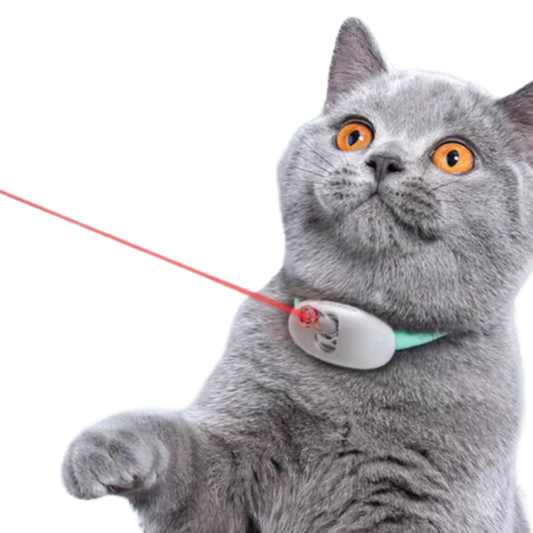 Cat Laser Collar