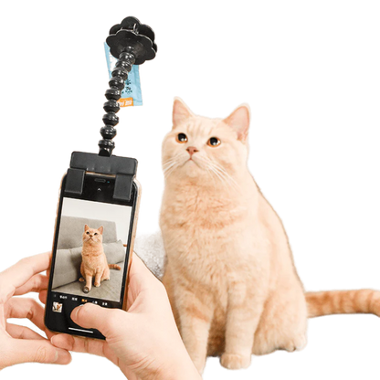 Snapcat Selfie Stick