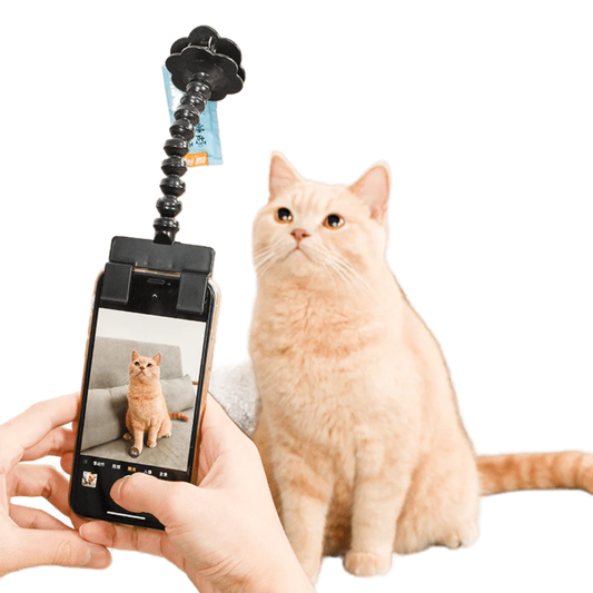 Snapcat Selfie Stick