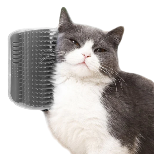 PurrCorner Groomer