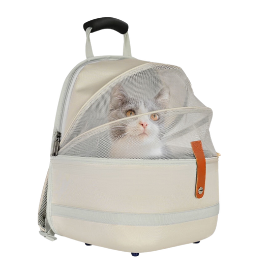 Cat Backpack