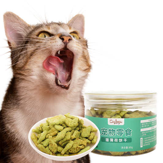 Cat Dental Treat