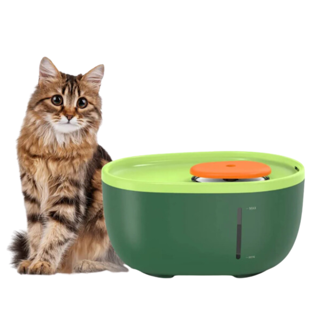 Avocado Water Fountain