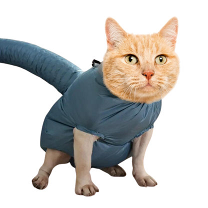 Astronaut Drying Suit