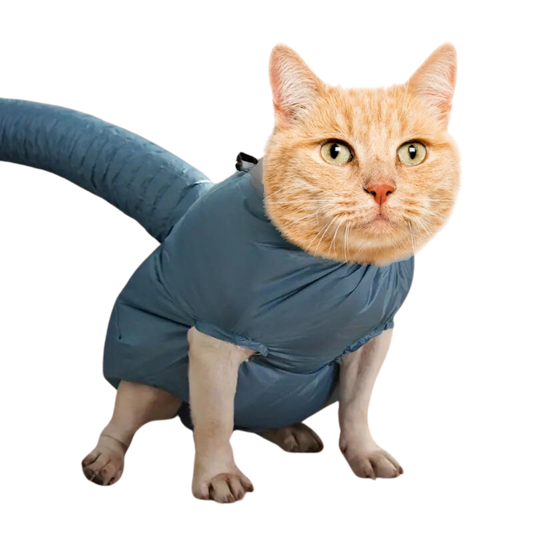 Astronaut Drying Suit