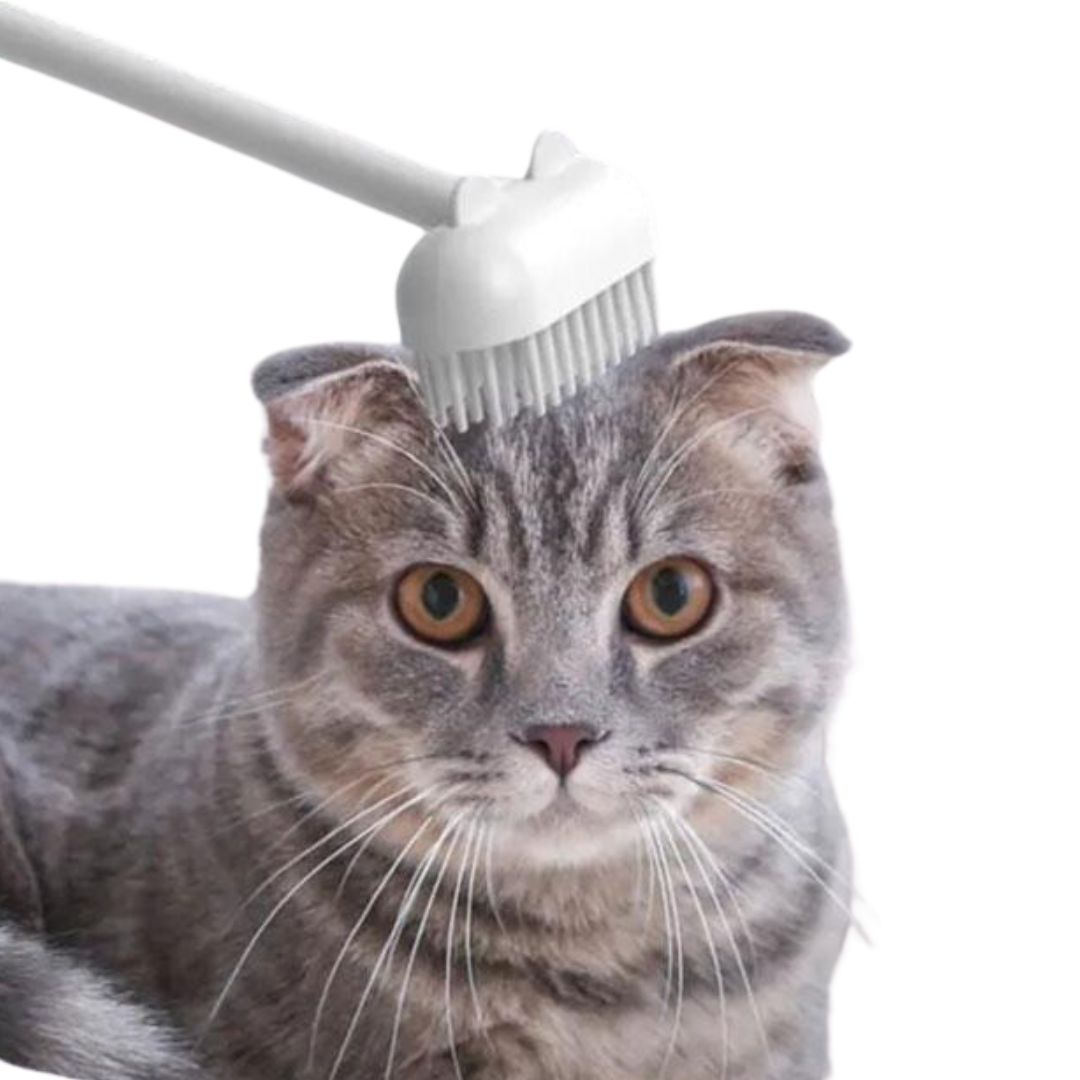 Purr Spot Brush