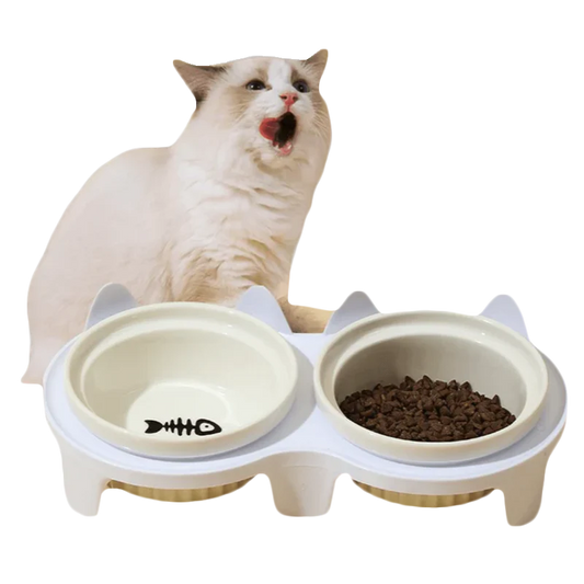 Elevated Ceramic Cat Bowl