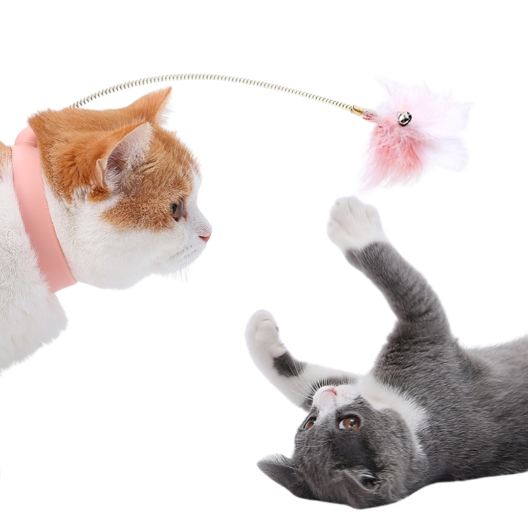 Cat Collar Toy