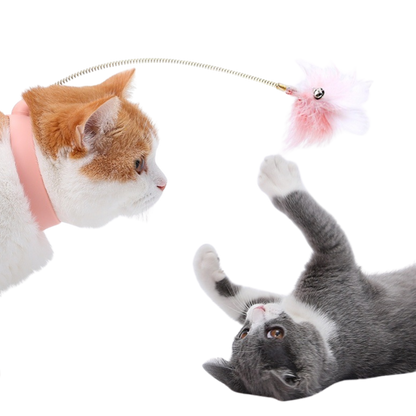 Cat Collar Toy