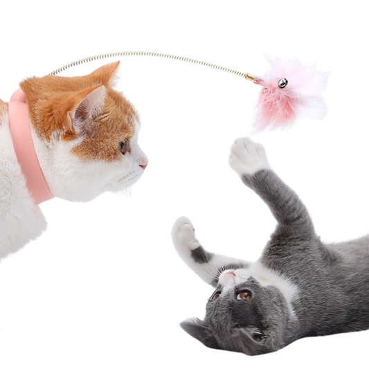 Cat Collar Toy
