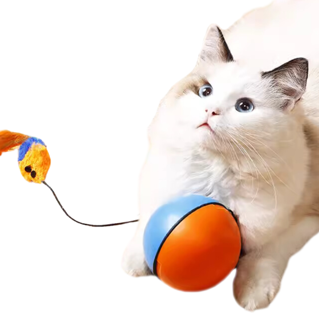 Turbo Tails