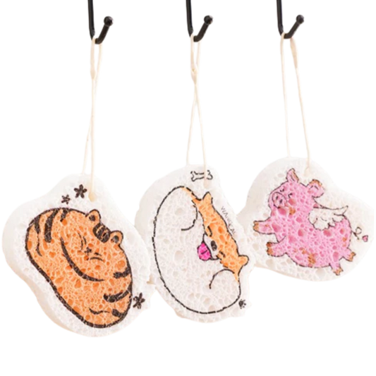Magical Sponge (3 Pcs)