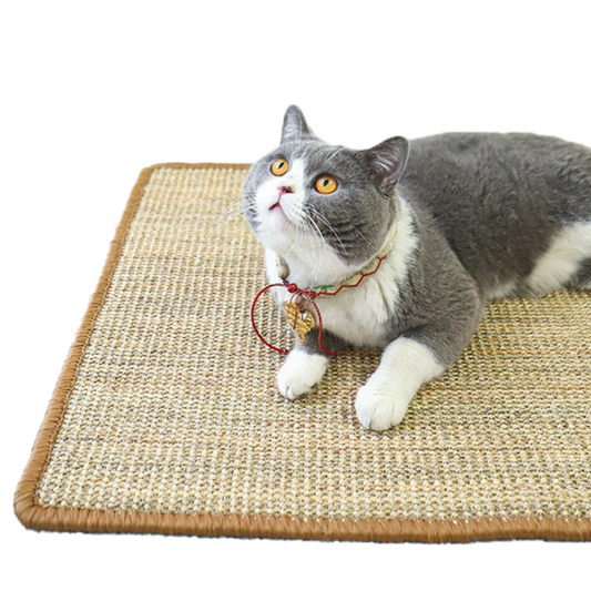 Scratcher Mat