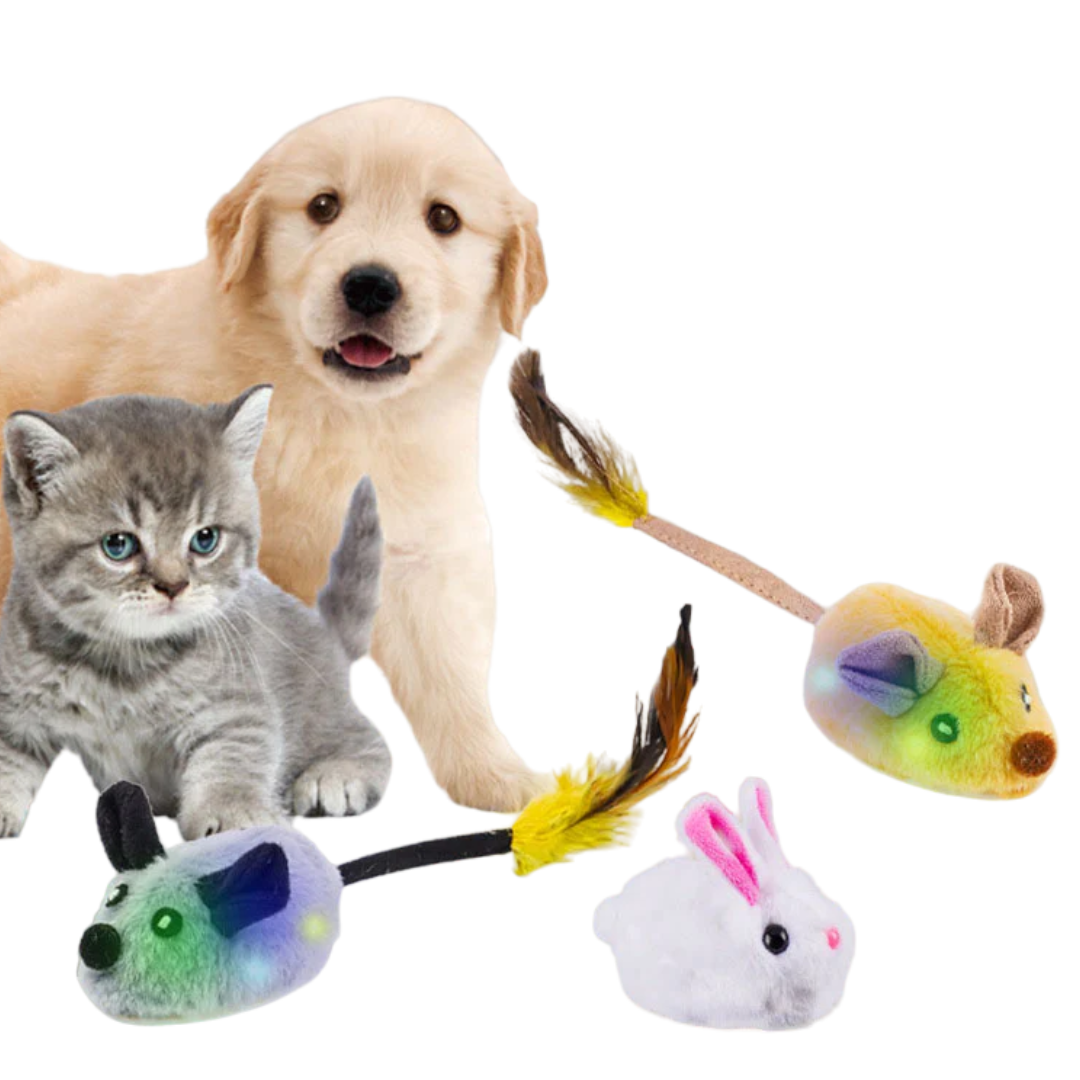Smart Mouse Toy