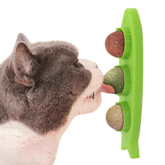 Stick-on Catnip Station