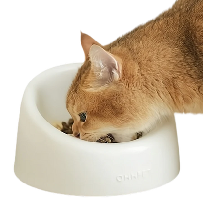 Ceramic Cat Bowl