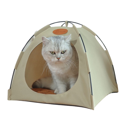 Cat Tent