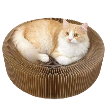 Magical Scratcher Bed
