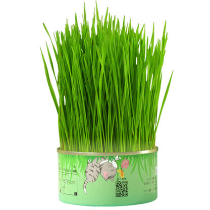 Fresh Canned Grass
