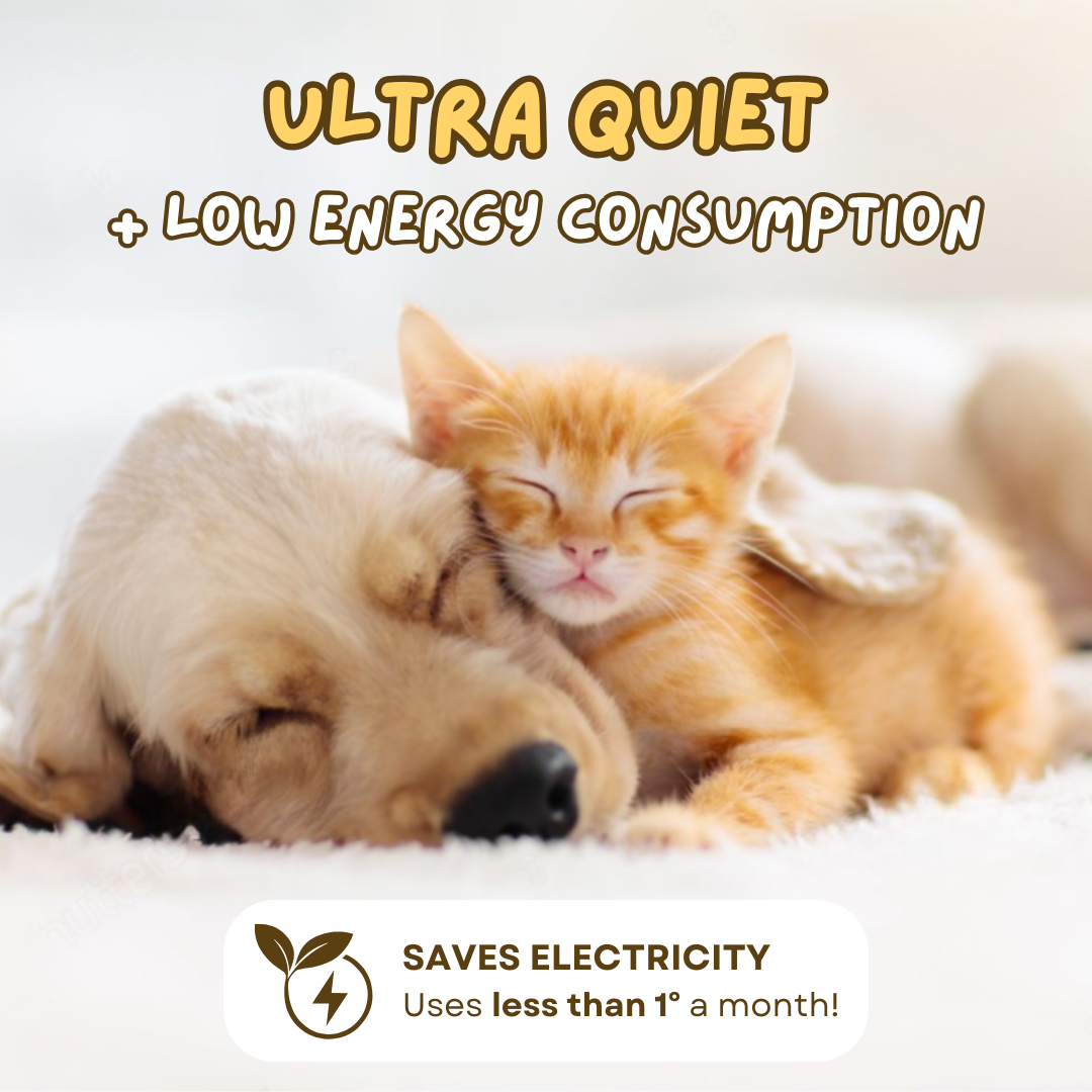 Avocado Water Fountain