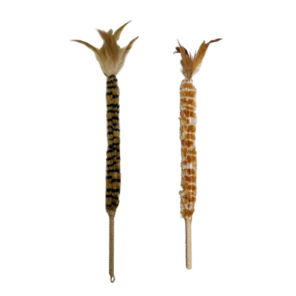 Feather Teasing Cat Stick