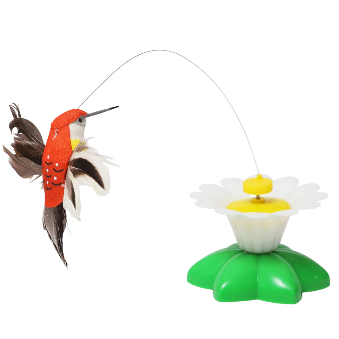 Buzzing Bird Toy