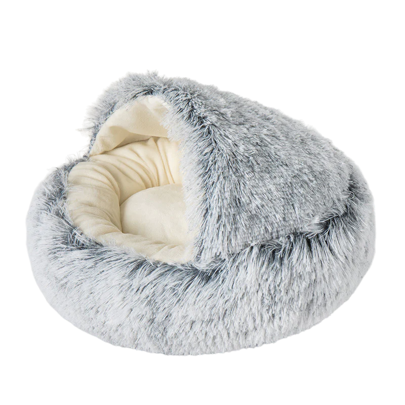 Seashell Bed