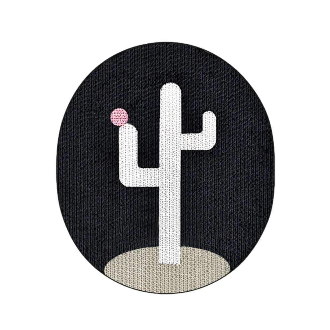 Cactus Wall Scratcher