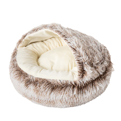 Seashell Bed