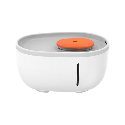 Avocado Water Fountain