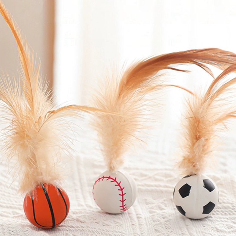 Bouncy Feather Toy