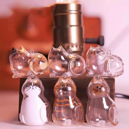 Mini Cat Capsule