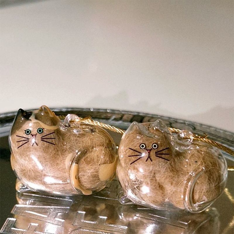 Mini Cat Capsule