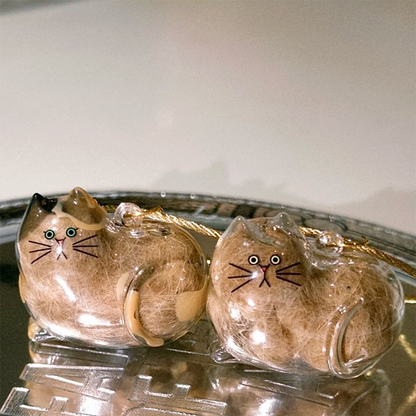 Mini Cat Capsule
