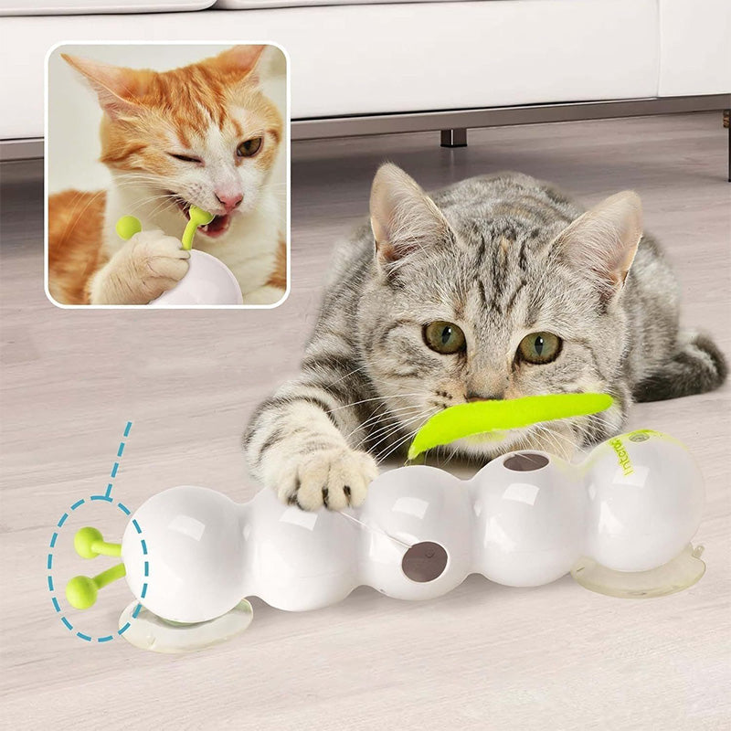 Caterpillar Cat Toy