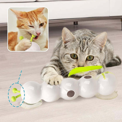 Caterpillar Cat Toy