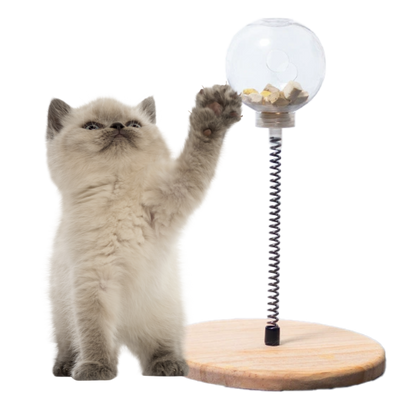 Treat Dispensing Toy